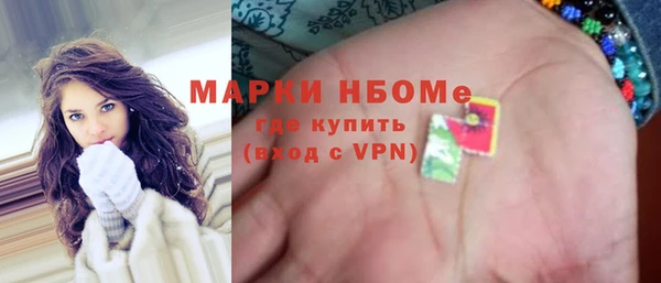 твердый Надым