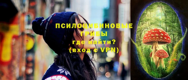 твердый Надым